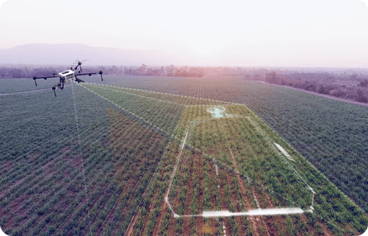 Drone Growth Model